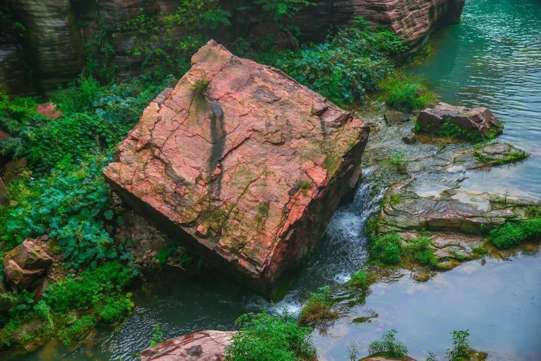 红萝卜煲汤后vc还在吗？游戏画面